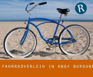 Fahrradverleih in Angy (Burgund)