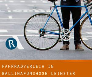 Fahrradverleih in Ballinafunshoge (Leinster)