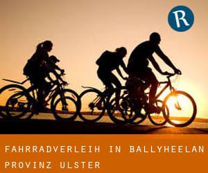 Fahrradverleih in Ballyheelan (Provinz Ulster)