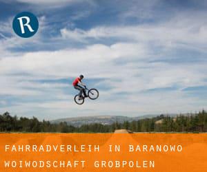 Fahrradverleih in Baranowo (Woiwodschaft Großpolen)