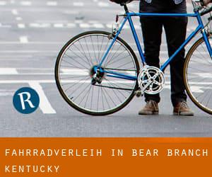 Fahrradverleih in Bear Branch (Kentucky)