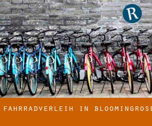 Fahrradverleih in Bloomingrose