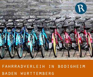 Fahrradverleih in Bödigheim (Baden-Württemberg)