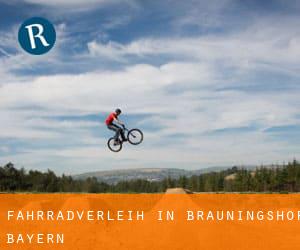 Fahrradverleih in Bräuningshof (Bayern)