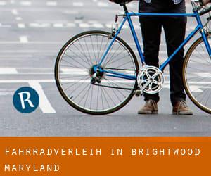 Fahrradverleih in Brightwood (Maryland)