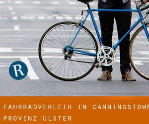 Fahrradverleih in Canningstown (Provinz Ulster)