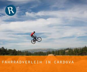 Fahrradverleih in Cardova