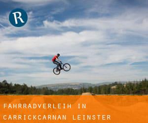 Fahrradverleih in Carrickcarnan (Leinster)