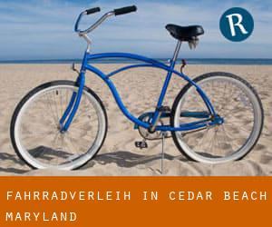 Fahrradverleih in Cedar Beach (Maryland)