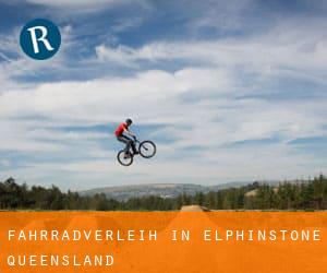 Fahrradverleih in Elphinstone (Queensland)