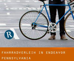 Fahrradverleih in Endeavor (Pennsylvania)