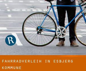 Fahrradverleih in Esbjerg Kommune