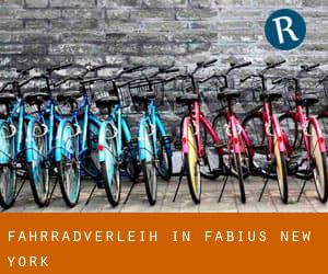 Fahrradverleih in Fabius (New York)