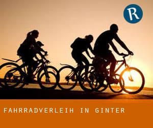 Fahrradverleih in Ginter