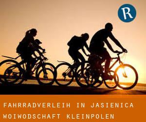 Fahrradverleih in Jasienica (Woiwodschaft Kleinpolen)