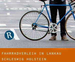Fahrradverleih in Lankau (Schleswig-Holstein)