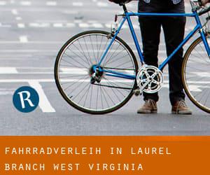 Fahrradverleih in Laurel Branch (West Virginia)