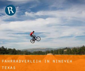 Fahrradverleih in Nineveh (Texas)