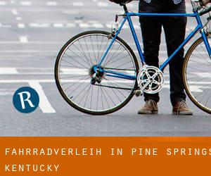 Fahrradverleih in Pine Springs (Kentucky)