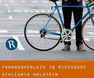 Fahrradverleih in Riepsdorf (Schleswig-Holstein)