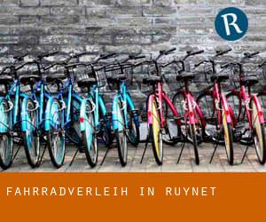 Fahrradverleih in Ruynet