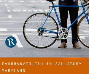 Fahrradverleih in Saulsbury (Maryland)