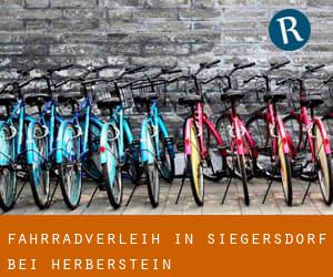 Fahrradverleih in Siegersdorf bei Herberstein