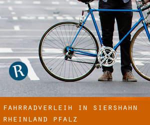 Fahrradverleih in Siershahn (Rheinland-Pfalz)