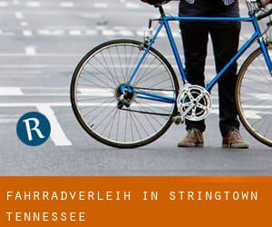 Fahrradverleih in Stringtown (Tennessee)
