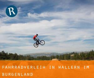 Fahrradverleih in Wallern im Burgenland