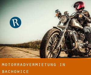 Motorradvermietung in Bachowice