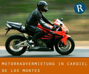 Motorradvermietung in Cardiel de los Montes