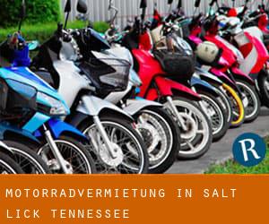 Motorradvermietung in Salt Lick (Tennessee)