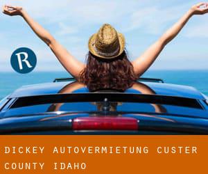 Dickey autovermietung (Custer County, Idaho)
