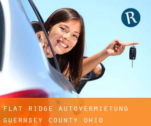 Flat Ridge autovermietung (Guernsey County, Ohio)