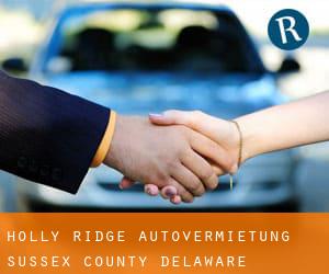 Holly Ridge autovermietung (Sussex County, Delaware)